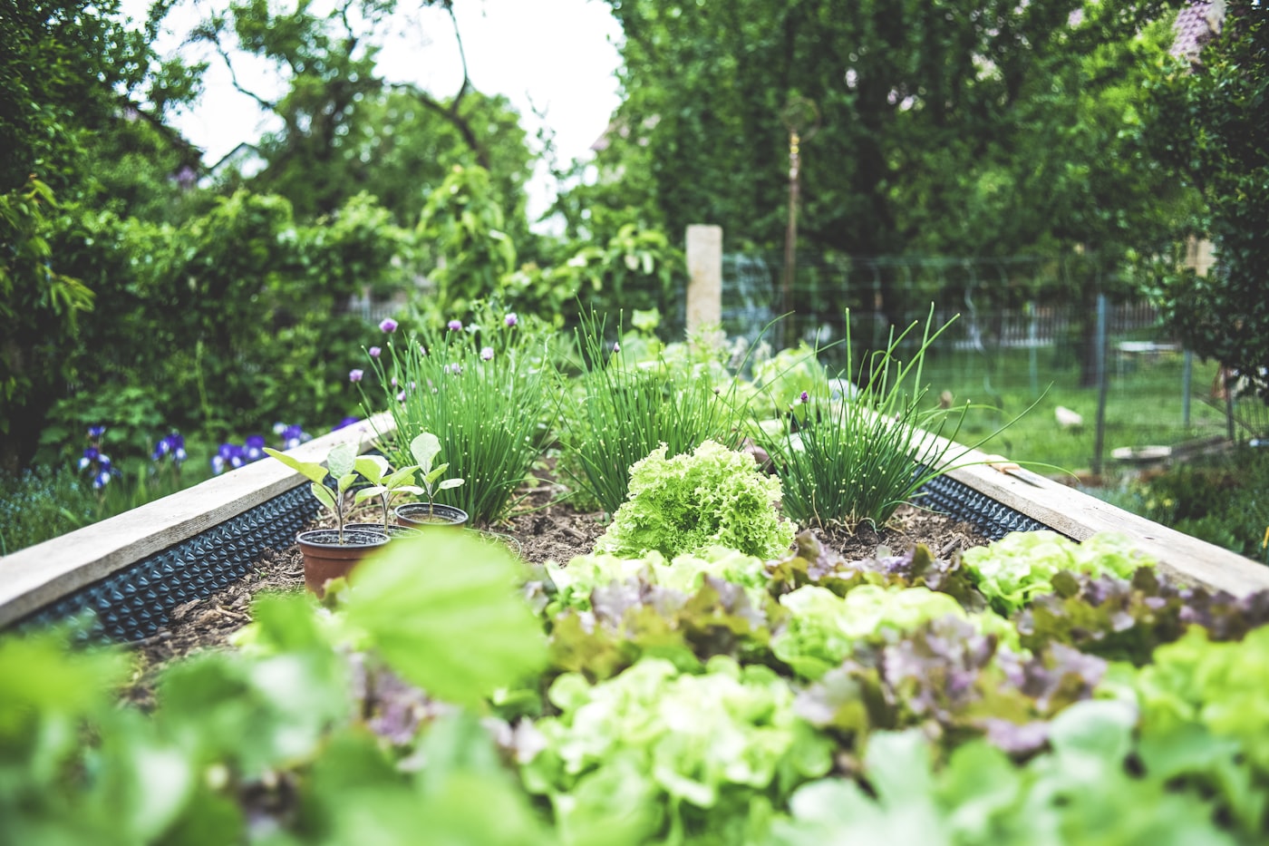Garden beds