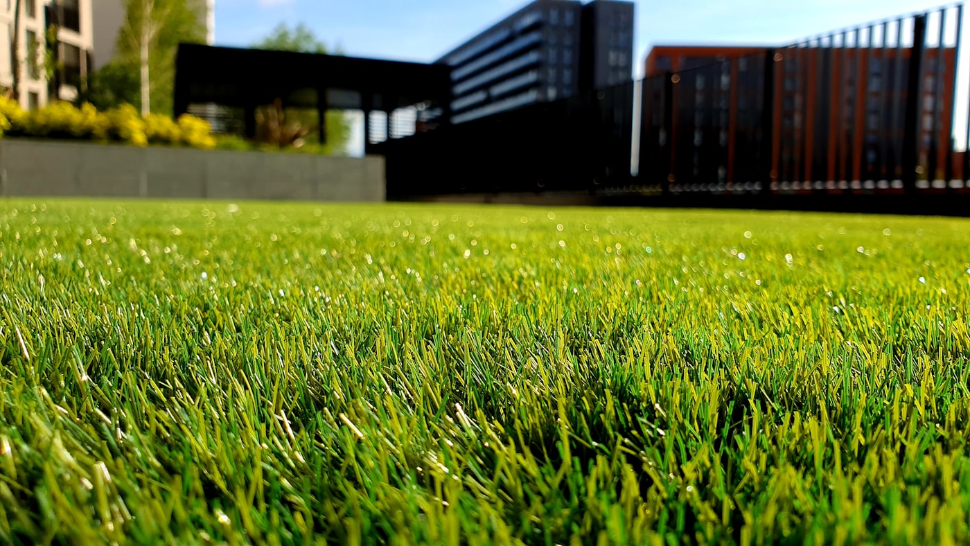 Freshly mown lawn