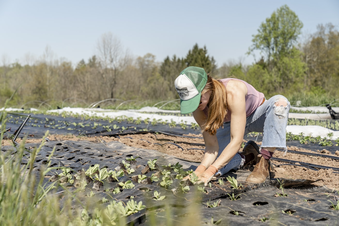 Garden planting